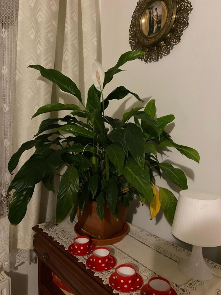 Apartmany Friday Liberec Dış mekan fotoğraf